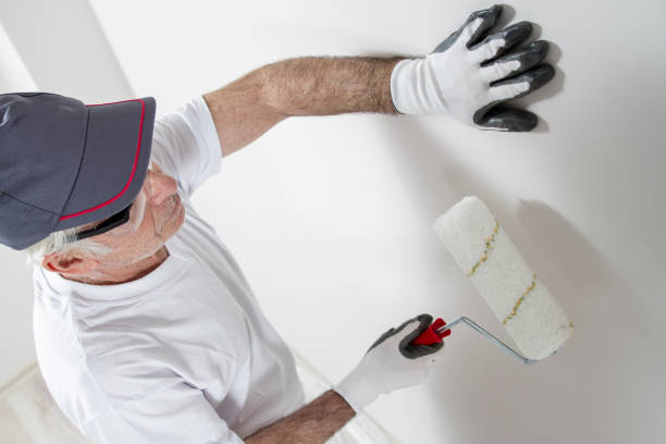 Best Attic Mold Removal  in Nassau Bay, TX