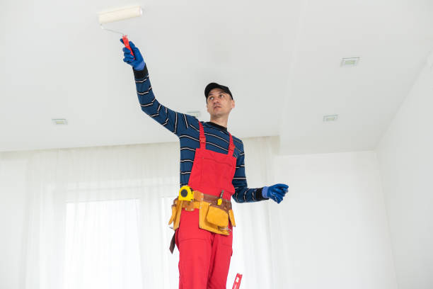 Best Indoor Air Quality Assessment  in Nassau Bay, TX